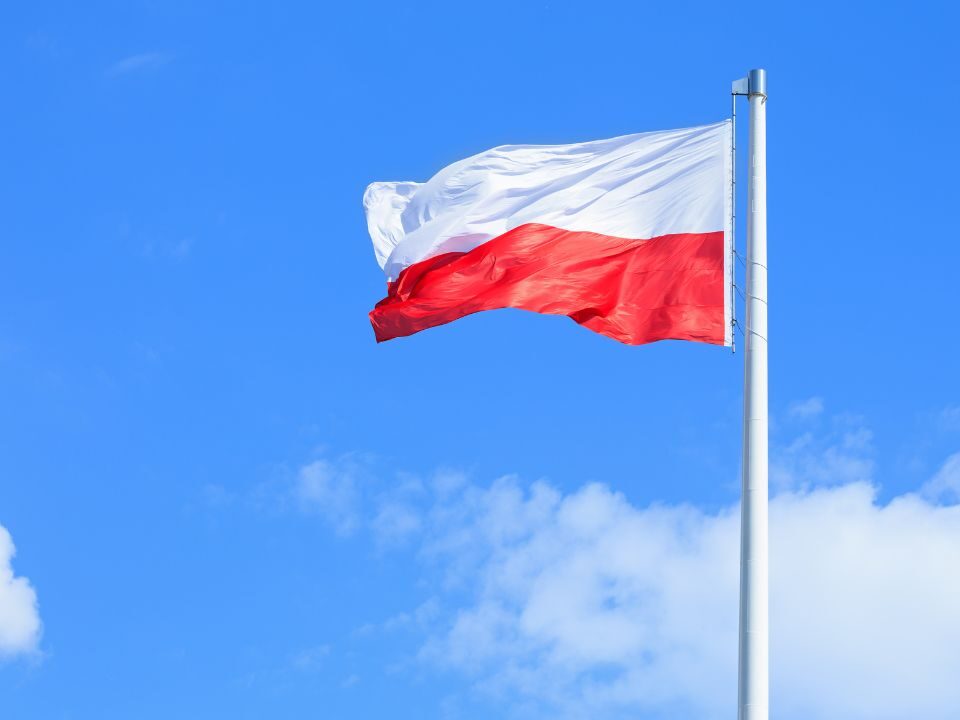 Navigating the Polish Language: A Guide for Expats