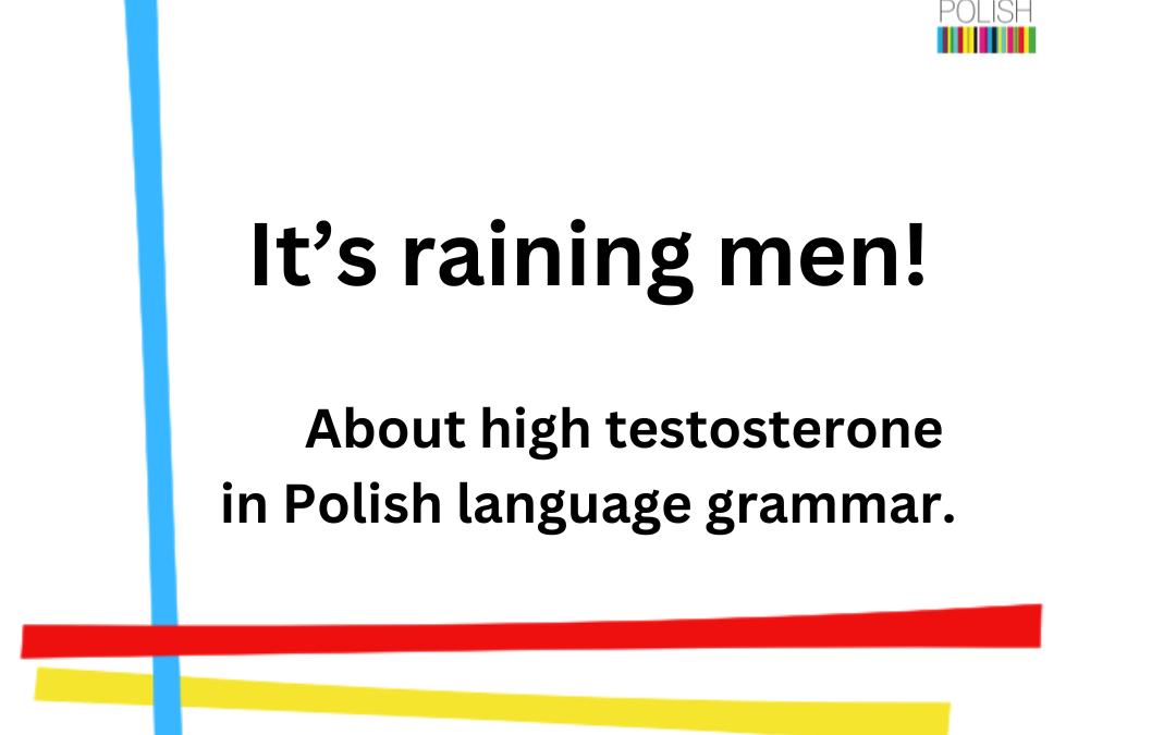 Polish Language Grammar