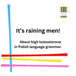 Polish Language Grammar