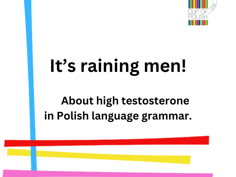 Polish Language Grammar