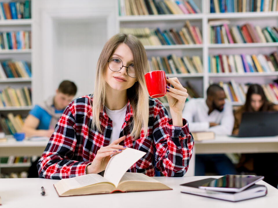 Learning polish for international professionals